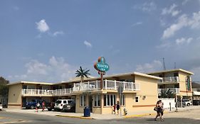 Seahorse Motel Wildwood Nj